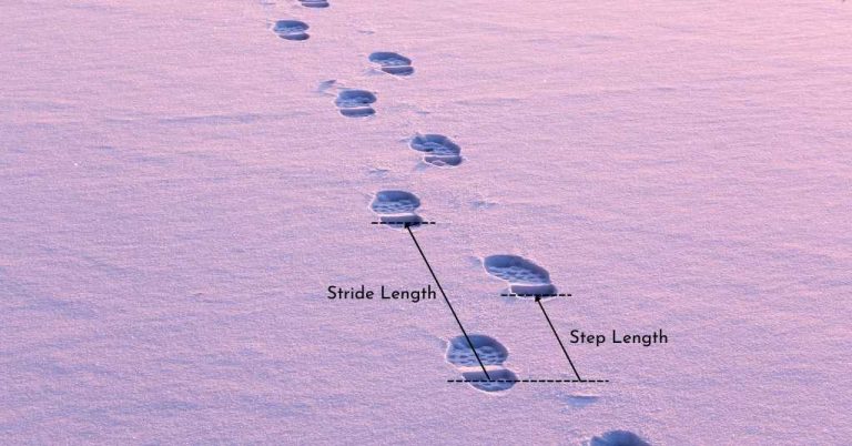One Feet Distance Difference How many steps are in 1 mile, and how long will it take you?